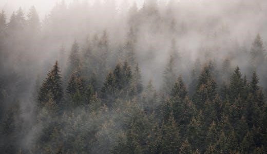 victa mower parts catalogue pdf free download