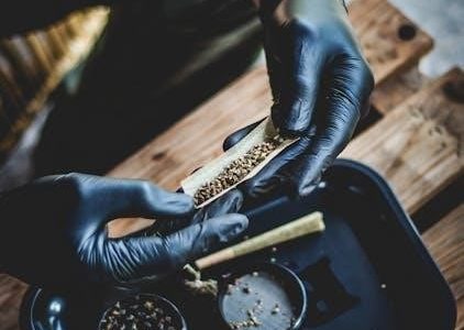 masterbuilt smoker user manual