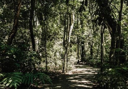 belair national park map pdf